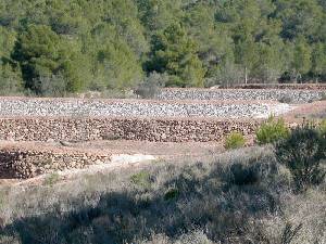 Rehabilitacin de pedrizas en la Sierra de Chchar, Totana