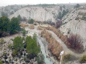 Tramo del Ro Luchena en el que se han realizado actuaciones de restauracion de ribera