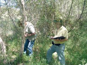 Tcnicos realizando un inventario forestal