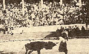 Corrida en la Plaza de Toros de Jumilla [plaza de toros de Jumilla]