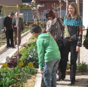 huertos escolares huertos escolares