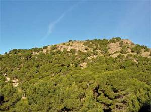 Sierra Espua, emblemtica