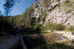 La prctica sostenible de la pesca pasa por una correcta ordenacin pisccola