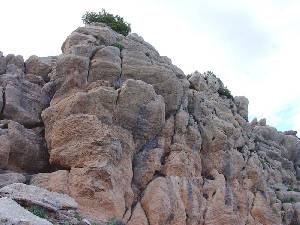 Vista de las calizas nodulosas del Jursico superior, que estn parcialmente karstificadas originando morfologas un tanto pintorescas