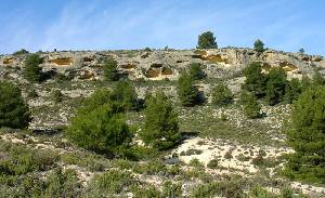 Panormica de las calcarenitas y margas tortonienses, rocas marinas del Mioceno superior. Obsrvese los abrigos existentes en las primeras