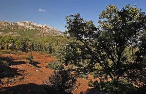 Vistas desde la Senda de los Siete Hermanos