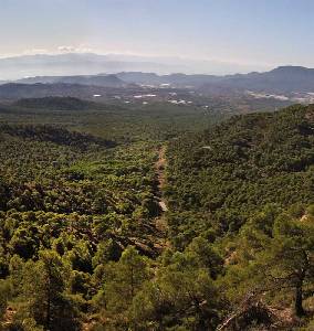 Vistas desde el Barranco de los Ballesteros - Senda del Lentisco