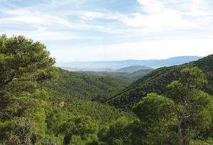 Vistas desde el Sendero de la Umbra de Pea Apartada