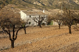 Collado Gil  - Juan de la Cruz