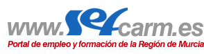 Logo Portal SEF