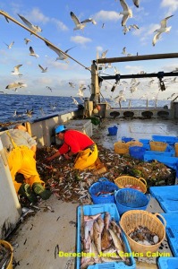 Figura 3. La pesca profesional en Murcia es rica en artes y formas de pesca