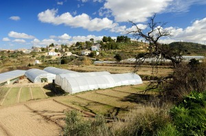 Vistas de El Cabezo y sus invernaderos  - Juan de la Cruz