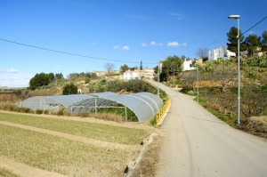 Carretera de acceso a El Cabezo  - Juan de la Cruz