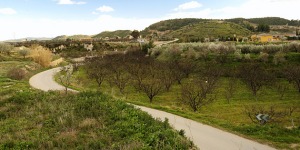 Carretera de El Escobar 