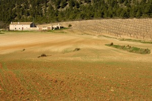 Burete  - Juan de la Cruz