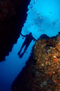 Buceo en la reserva natural de Cabo de Palos e Islas Hormigas