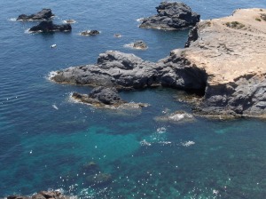 Cala de Cabo de Palos [Cabo de Palos, santuario marino mundial]