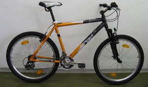 Bicicleta de mantaa