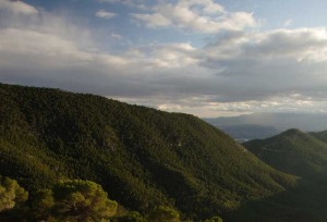 Sendero del Collado de la Madera