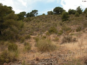 Sierra Espua