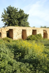 El Estrecho (Fuente lamo) 