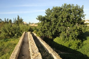 El Estrecho (Fuente lamo) 