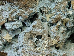 Detalle de las maclas formadas por tres cristales de cerusita de unos 4 mm (Sierra de Cartagena)