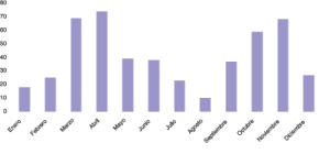 Grfico 2. Actividades por meses (ao 2008)