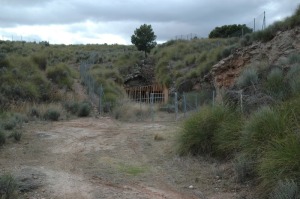 Las minas de la Celia (Jumilla) poseen una variedad de apatito de mucha importancia, la esparragina. El coleccionismo, pese a la proteccin, est destruyendo este Lugar de Inters Geolgico y Minero