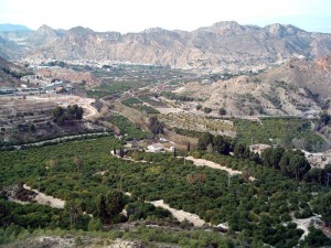 Huerta tradicional en el Valle de Ricote 