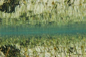 Aguas litorales de la Regin de Murcia