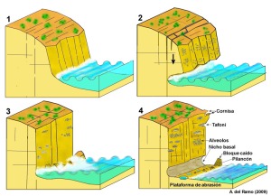 Figura 2. Evolucin de un acantilado dando lugar a una plataforma de abrasin y a las diversas morfologas observables en la zona de La Carolina