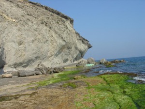 Plataforma de abrasin sobre las riodacitas. Obsrvese los bloques cados procedentes del retroceso del acantilado y el nicho basal