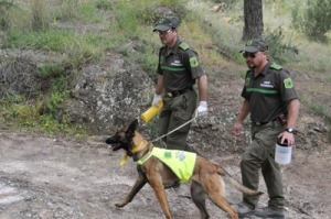 La unidad canina salva numerosas vidas de fauna silvestre