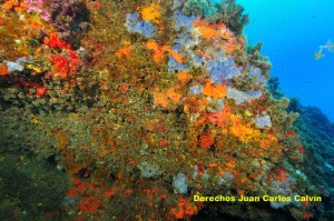 Figura 1. Paisaje cuevas, extraplomos y grietas en la Isla del Fraile