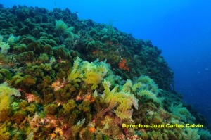 Figura 1. El paisaje roca iluminada en Punta Ciscar, teniendo el mismo aspecto en todo el tramo