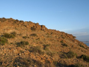 Cresta de la cima del Cabezo del Carmol. Se observan diaclasas perpendiculares a la colada que la han dividido en grandes bloques. En la ladera hay cantos sueltos que hacen peligroso el ascenso