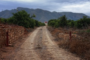 Matanzas  - Joaqun Zamora