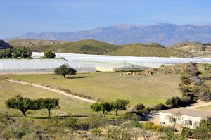 Gauelas  - Juan de la Cruz