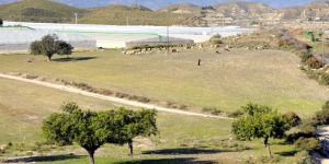 Gauelas  - Juan de la Cruz