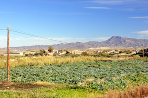 La Atalaya  - Juan de la Cruz