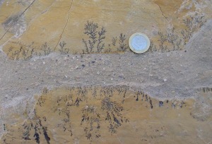 Detalle de las dendrtas de pirolusita de las baldosas del nuevo paseo de la ladera oeste de Aledo 