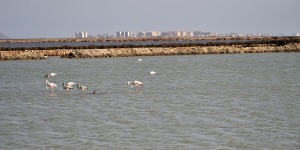 Salinas de San Pedro 