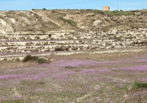 Puerto de la Cadena