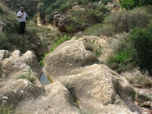 Las areniscas costeras de Aledo hoy se disuelven por el mismo agente que las gener, el agua, en un proceso cclico. La accin disolvente del agua genera pilancones 