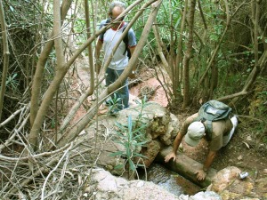 Hombres, agua y vida. Despus de cientos de aos todava fascina ver el agua discurrir por estos brazales artesanales 