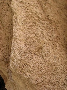 Detalle del travertino en el interior de la cueva de la Mauta. La vegetacin, el agua y el carbonato clcico han generado esta preciosa roca 