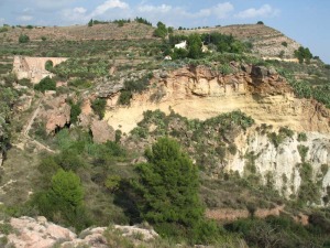 Panormica desde el cabezo del Molino del entorno de la cueva. Se observan las margas marinas en la base. Sobre stas las areniscas costeras. A Techo los conglomerados delticos 