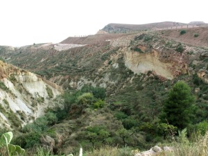 Panormica de la rambla de los Molinos. Al fondo se ven los movimientos de tierra hechos en el cabezo del Molino para urbanizarlo. Desarrollo y conservacin de la Naturaleza deben ser compatibles