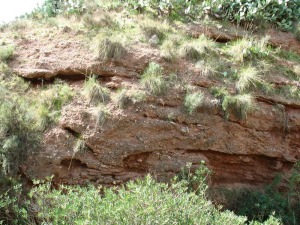 Detalle de un paleocanal del delta. El tamao de los cantos indica que las avenidas del agua seran violentas y con gran cantidad de sedimentos 